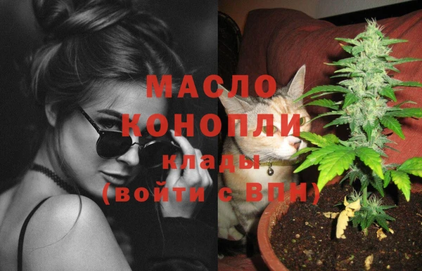 крисы Алзамай