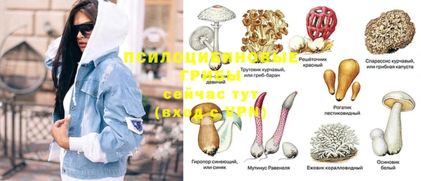 mdpv Алексеевка
