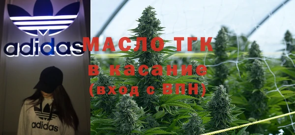 крисы Алзамай