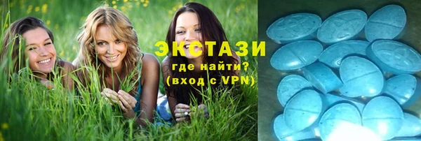 крисы Алзамай