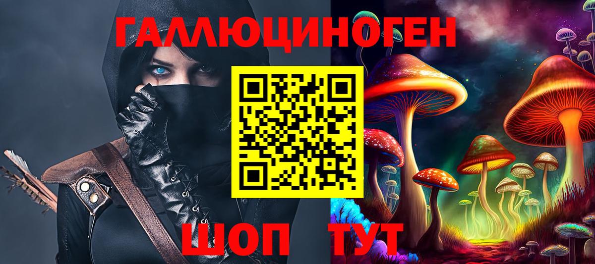 Галлюциногенные грибы Psilocybine cubensis Усинск